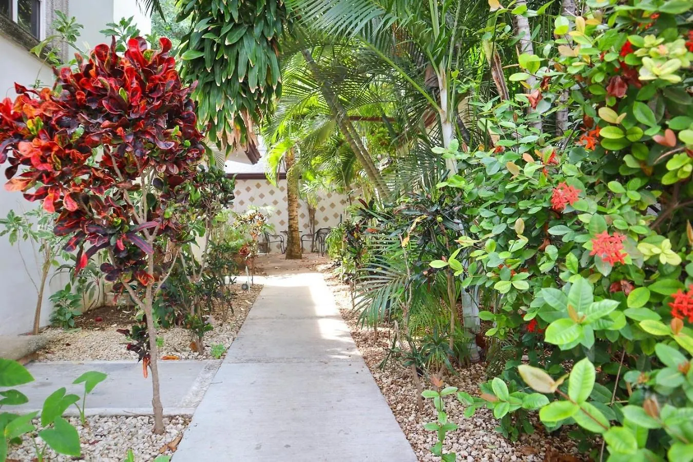 Spacious King Room Near Beach & Quinta Playa del Carmen 0*,  Meksyk