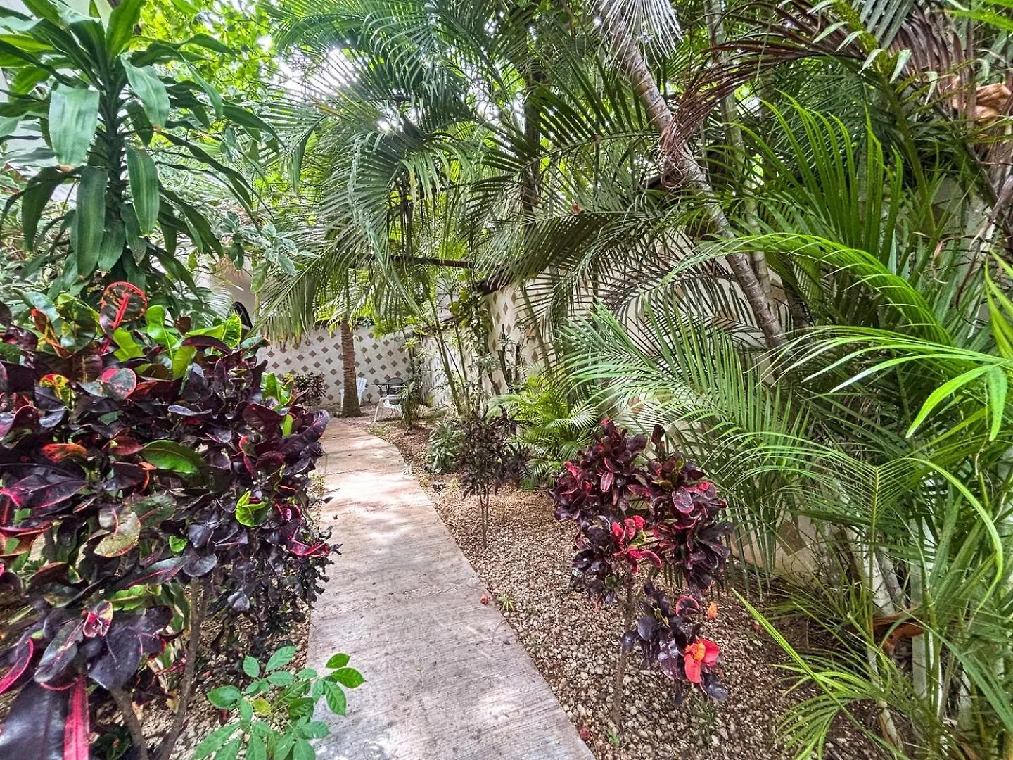 Apartament Spacious King Room Near Beach & Quinta Playa del Carmen Meksyk
