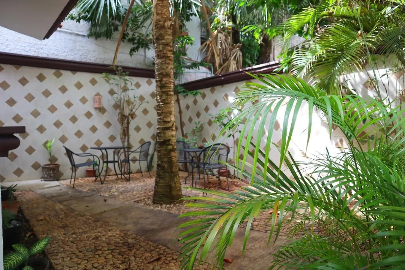 Spacious King Room Near Beach & Quinta Πλάγια Ντελ Κάρμεν Μεξικό