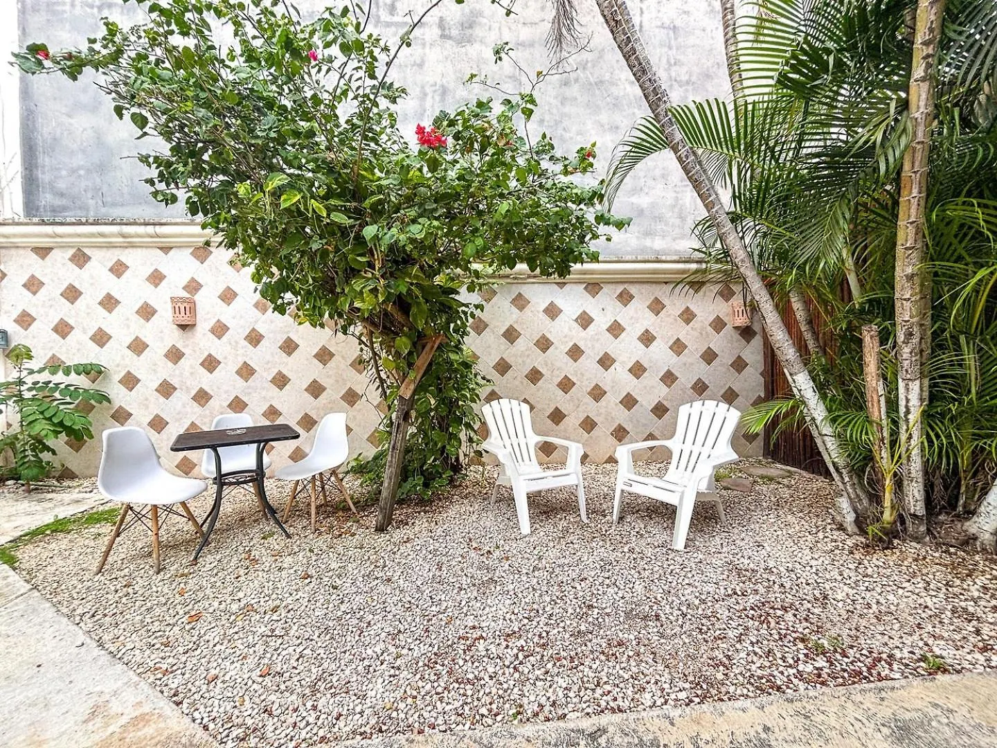 Spacious King Room Near Beach & Quinta Πλάγια Ντελ Κάρμεν